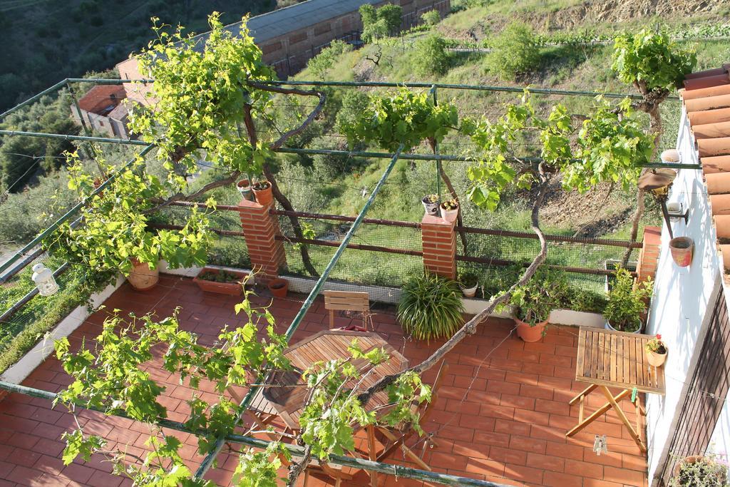 Cal Millo Villa Vilella Alta Ngoại thất bức ảnh
